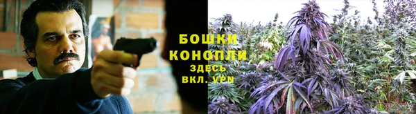 дмт Волгодонск