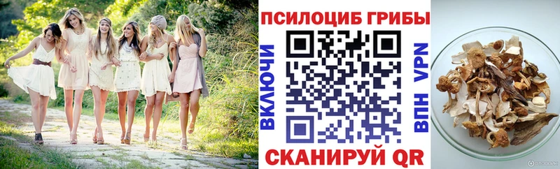 Псилоцибиновые грибы Psilocybine cubensis  Купить закладки  Касли 